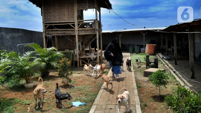 FOTO: Kedekatan Hesti Sutrisno dengan Anjing-Anjing Liar Peliharaannya