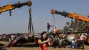 Seorang wanita berselfie saat proses evakuasi ikan paus paus yang terdampar di pantai sepanjang Laut Arab di Mumbai , India, (29/1). Diperkirakan ukuran ikan paus tersebut 9 meter .(REUTERS / Danish Siddiqui)