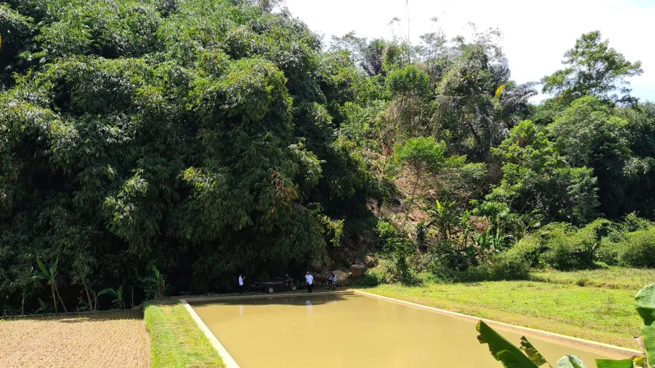 Embung