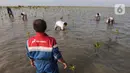 Pekerja Pertamina bersama Kelompok Tani Hutan Rapi Jaya Putra menanam bibit mangrove di Pantai Tiris, Pabean Ilir, Pasekan, Indramayu, Jawa Barat sebagai upaya menjaga kelestarian kawasan pesisir Indramayu. (Liputan6.com/Angga Yuniar)