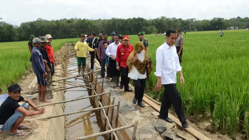 Jokowi Letakkan Baru Pertama Saluran Irigasi di Desa Mandor