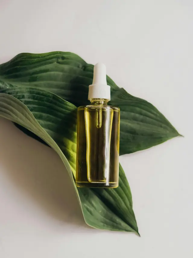 5. Berkontribusi pada Program Sosial dan Lingkungan