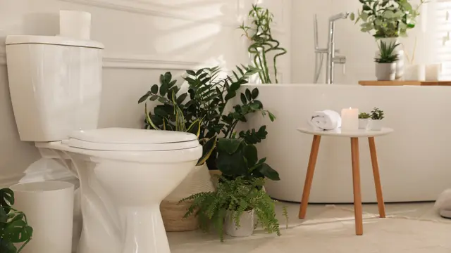 Ide Toilet Minimalis dengan Desain Estetik yang Bisa Ditiru