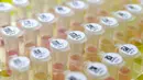 Tabung sampel biomaterial ditempatkan di Laboratorium Huoyan yang dibuat khusus dalam uji asam nukleat pada 2019-nCoV di Wuhan, Provinsi Hubei, China, Kamis (6/2/2020). Penguatan imunitas tubuh mampu mencegah penyakit corona virus. (Chinatopix via AP)