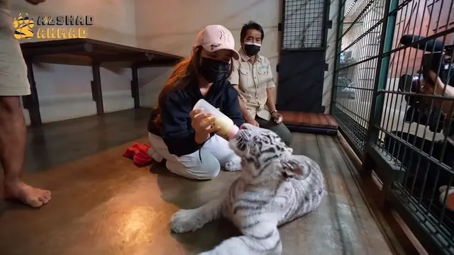 Tiara Andini bersama bayi harimau Selena. (Foto: Instagram/tiaraandini)