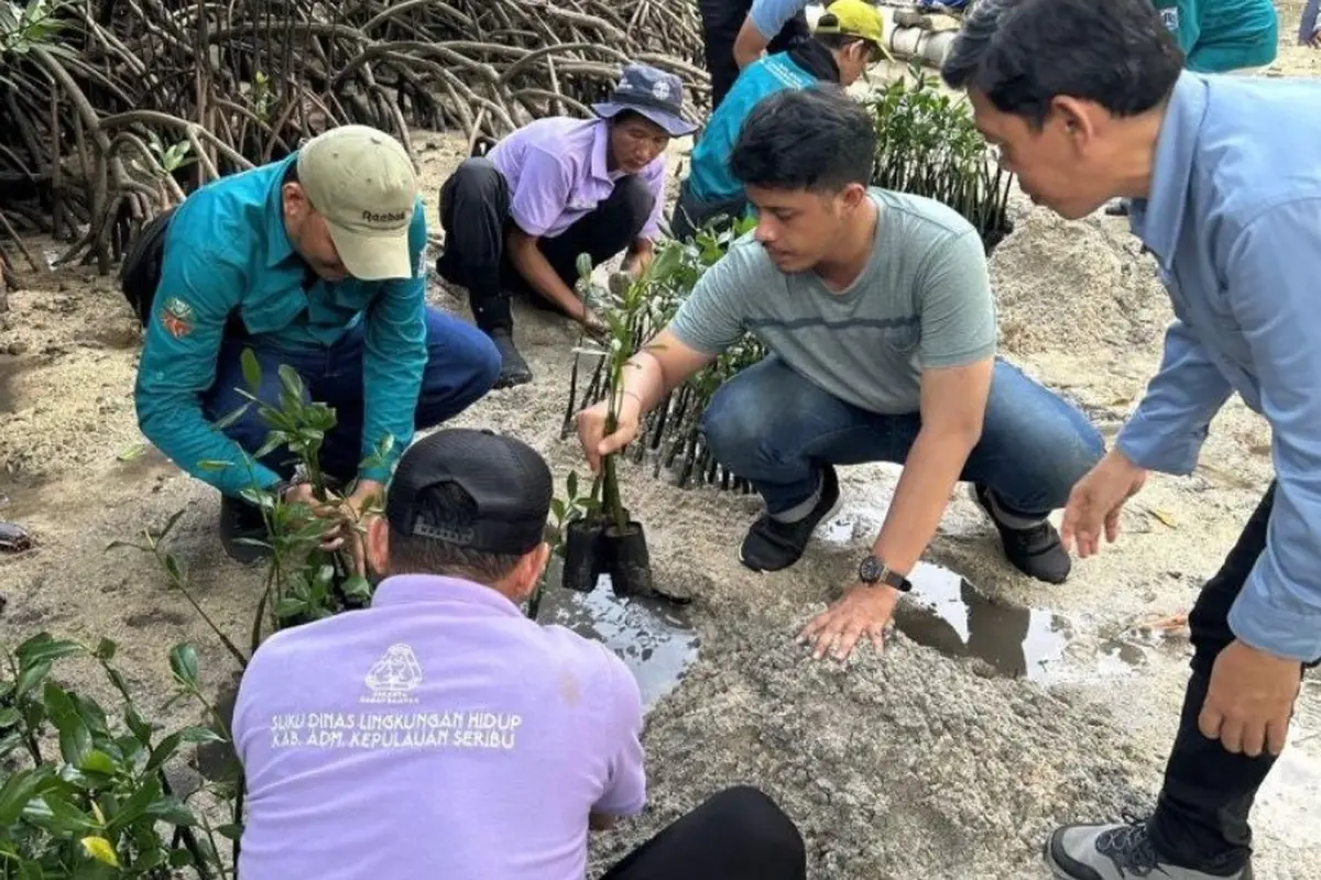 Sejumlah petugas Suku Dinas Lingkungan Hidup Kepulauan Seribu menanam 500 bibit mangrove di Pulau Sabira.