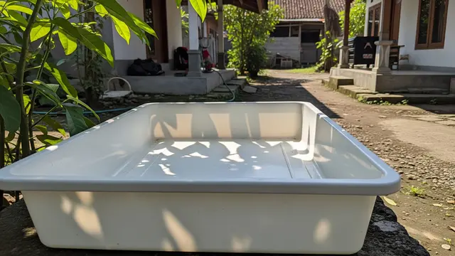 Cara Membuat Hidroponik dari Nampan Bekas Tanpa Listrik