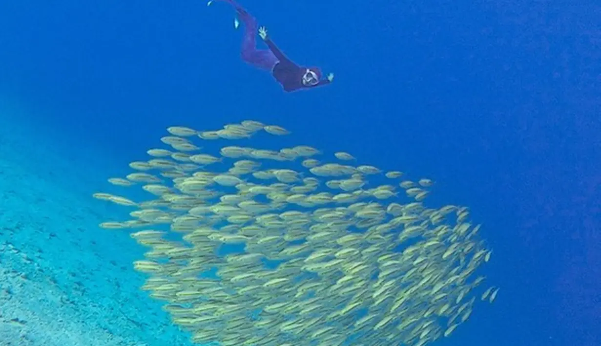 <p>Ria Ricis terlihat sumringah saat bisa snorkeling untuk melepas penat. Melihat ikan-ikan koloni berenang di lautan pun menjadi suatu kebahagiaan tersendiri bagi perempuan kelahiran 1 Juli 1995. Foto yang apik ini banjir pujian dari netizen yang terkesan dengan pemandangan bawah laut saat Ria Ricis snorkeling. (Liputan6.com/IG/@riaricis1795)</p>