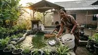 8 Jenis Ikan Air Tawar Bernilai Gizi Tinggi untuk Budidaya Rumahan, Mudah Dipelihara