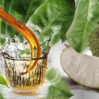 Bukan cuma buahnya saja yang enak di makan, tapi daun sirsak ternyata juga sangat bermanfaat untuk kesehatan tubuh kamu lho. (Foto: YouTube.com)