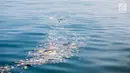 Sampah kiriman mengotori perairan Kepulauan Seribu di sekitar Pulau Pari dan Pulau Pramuka, Rabu (28/11). Sampah itu terbawa arus laut dan terdampar akibat angin serta hujan deras yang melanda daratan Pulau Jawa. (Liputan6.com/Faizal Fanani)