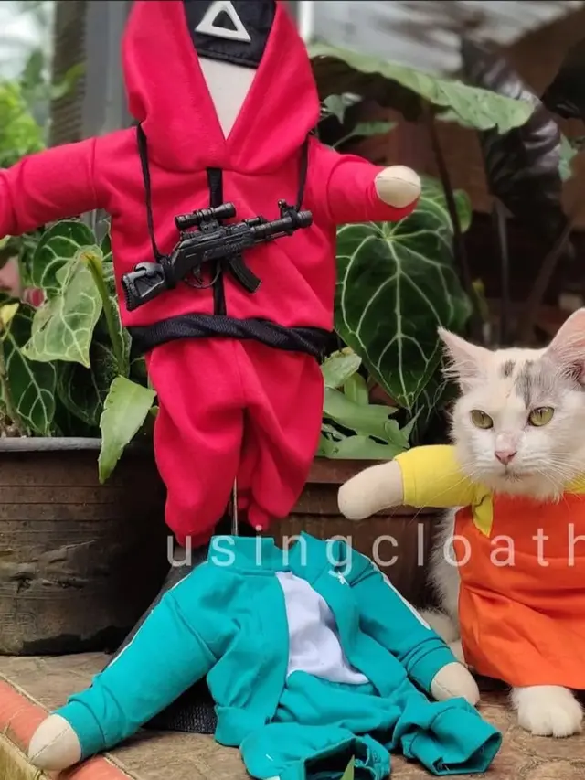 Pakaian Kucing Fredi Lugina