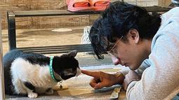 Di sela kesibukannya di dunia entertain, Bryan Domani masih menyempatkan waktu untuk bermain dengan kucing. Penuh dengan kasih sayang, kucing pun luluh dan senang diajak main olehnya. Warganet menyebut, tak hanya kucingnya yang menggemaskan, tapi sang aktor juga bikin gemas. (Liputan6.com/IG/@bryandomani_bd_)