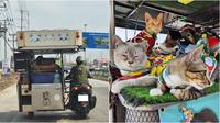 Viral lansia asal Thailand, traveling 300 kilometer sambil bawa 11 kucingnya naik motor. (Sumber: The Thaiger / Facebook/kingdomoftigers)