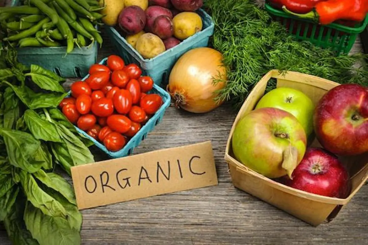 Hari Bumi, Ini 10 Makanan Organik yang Patut Kamu Coba!
