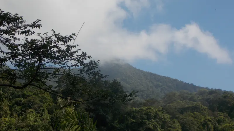 Melihat lebih dekat Gunung Doro Leme dari jalur menuju Doro Oromboha