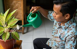 Ilustrasi menyiram tanaman. [Foto: Gemini]