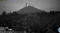 Gunung Semeru Erupsi lagi, Tinggi Letusan Capai 700 Meter (Istimewa)