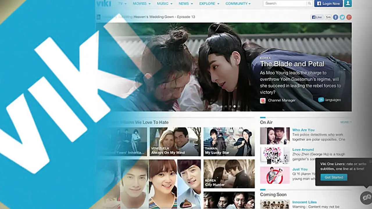 viki-web-130902b.jpg