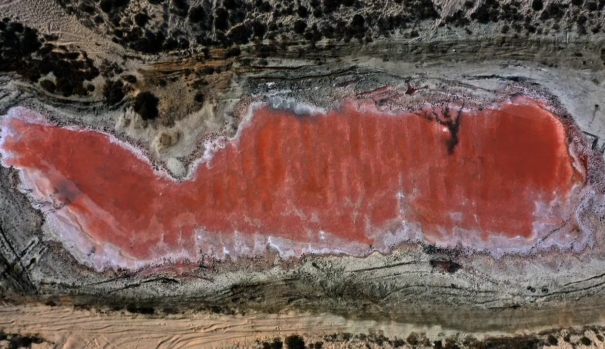 Sebuah gambar yang diambil pada 26 Januari 2021 ini menunjukkan danau merah muda di Ras Al Khaimah di Uni Emirat Arab (UEA). Danau merah muda adalah efek dari ganggang merah menyebabkan perubahan warna air. (GIUSEPPE CACACE/AFP)