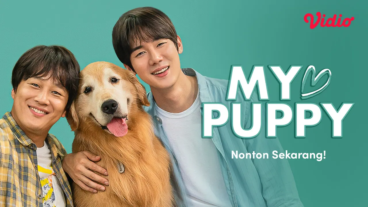 My Puppy