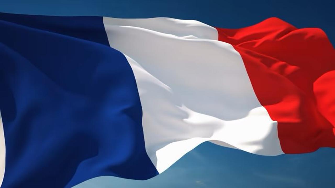 French Government Collapse: PM Bayrou Steps Down, Details and Updates