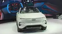 Mobil konsep pabrikan Tiongkok tampil di Auto Expo 2020. (Cardekho)