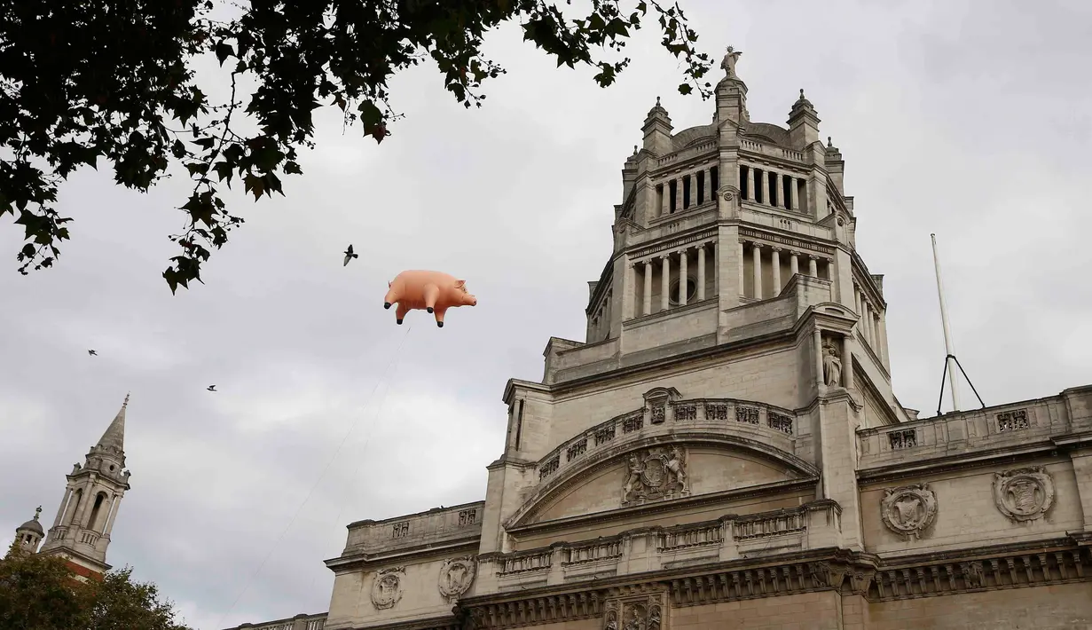 Balon udara berbentuk babi melayang di atas Victoria and Albert Museum di London, Inggris, Rabu (31/8). Balon babi berwarna pink itu untuk mempromosikan pameran grup band "Pink Floyd" yang akan dibuka mulai bulan Mei 2017. (REUTERS/Peter Nicholls)