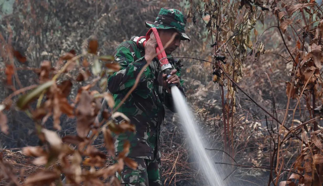 Prajurit TNI berusaha memadamkan kebakaran hutan dan lahan di Kabupaten Kampar, Provinsi Riau (12/9/2019). Kebakaran hutan yang terjadi menyebarkan kabut asap di Asia Tenggara. (AFP Photo/Adek Berry)