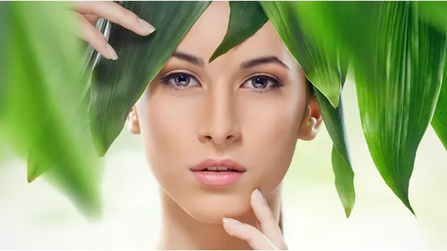 Foto: Copyright Shutterstock.com