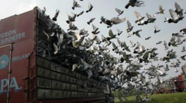 Pada masa lalu ternyata ada beberapa cabang olahraga yang terlihat aneh jika dilihat menurut pemahaman sekarang.