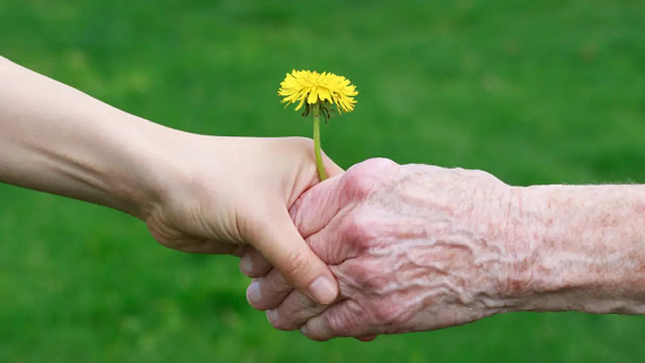 Foto: Copyright Shutterstock.com