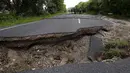 Kondisi jalan yang retak menghentikan akses kendaraan, 70 km sebelah selatan dari Blenheim di Pulau Selatan, Selandia Baru, Senin (14/11). Gempa 7,8 SR yang mengguncang Selandia Baru mengakibatkan jalan tersebut retak. (REUTERS/Anthony Phelps)