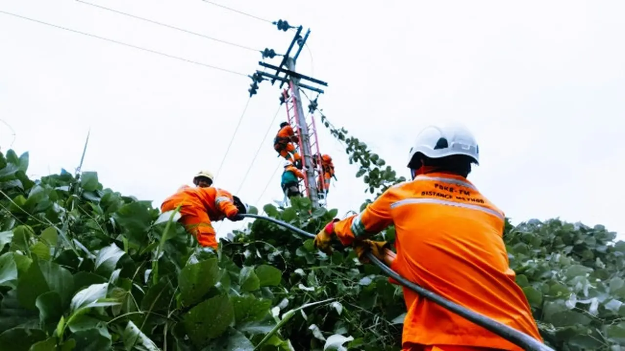 Petugas PLN Riau tengah memasang instalasi listrik.