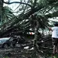 Mobil yang tertimpa pohon tumbang akibat angin kencang di depan RSUD dr Soedarso, Pontianak, Kalbar. Dua orang tewas dalam peristiwa yang terjadi kamis (26/08) tersebut.(Antara)