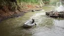 Anggota Federasi Arung Jeram Kota Depok (FAJI) berlatih di aliran Sungai Ciliwung, Depok, Jumat (26/6/2020). Latihan yang digelar tiga kali dalam seminggu itu diikuti atlet arung jeram Kota Depok serta anggota federasi lain yang menjadi calon atlet di masa depan. (Liputan6.com/Immanuel Antonius)