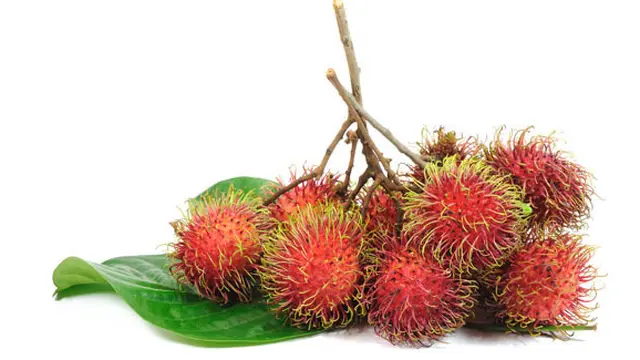 Foto: copyright Vemale.com