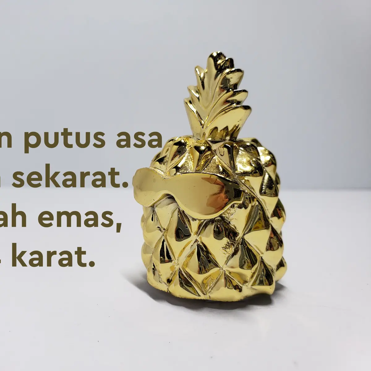 Memek gokil