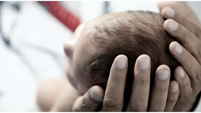 Foto: copyright Shutterstock.com