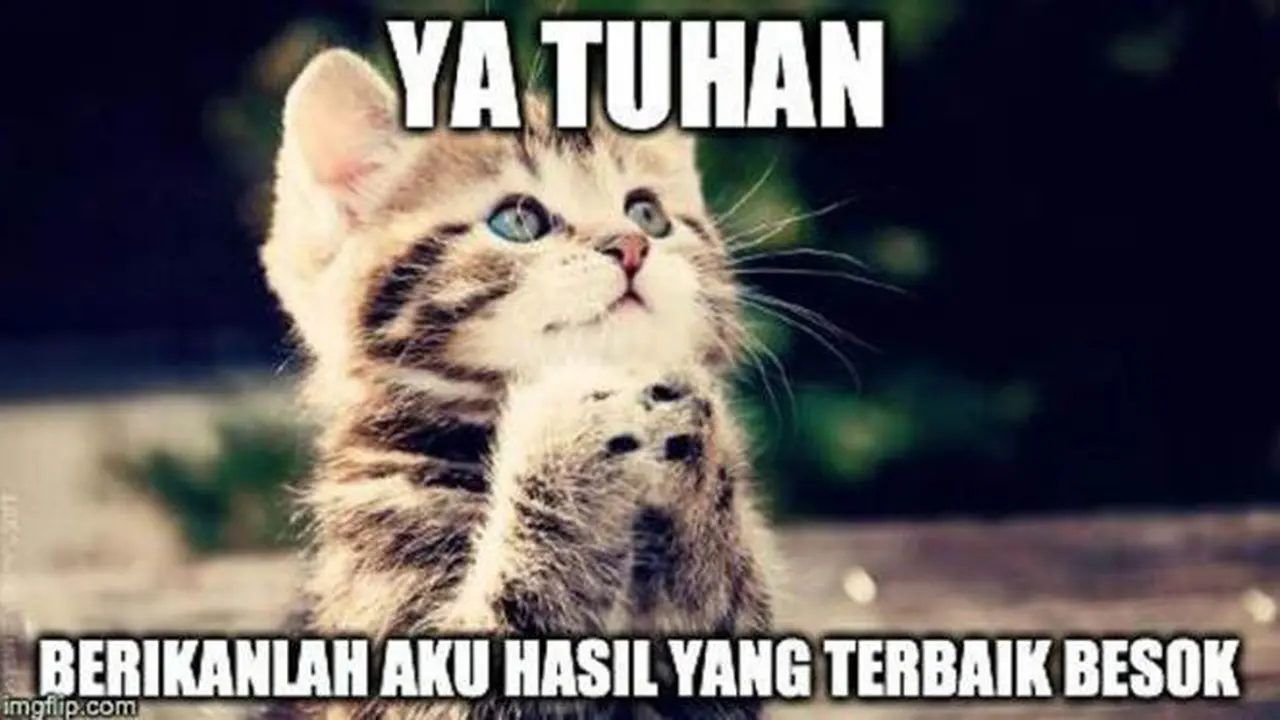 Stres Cari Kampus? Nikmati Saja Dulu Meme SNMPTN Biar Ceria!