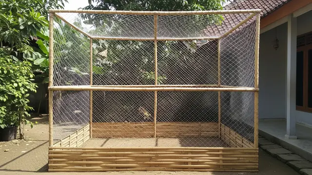 Umbaran Ayam Dengan Pagar Jaring