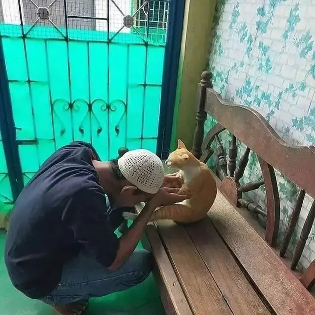 Kucing ikut Lebaran