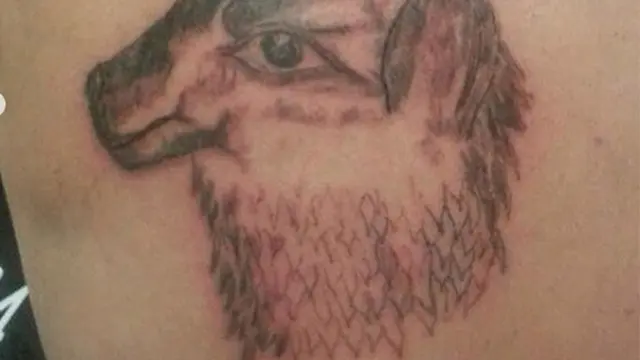 tato kocak