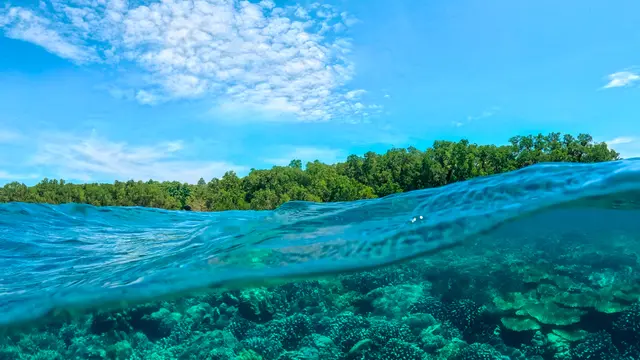 Akhir Tahun Ingin Liburan yang Beda? Saatnya Eksplorasi Manado dan Likupang