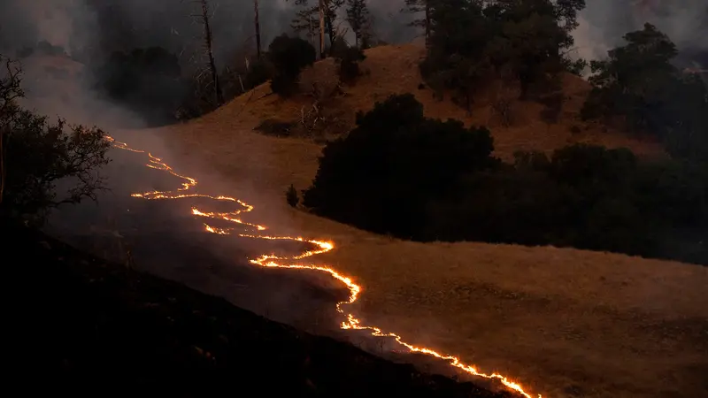 Pemandangan Mengerikan Kebakaran Hutan di California