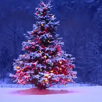 Kamu yang belum punya pohon untuk menyambut Natal 2015, ada beberapa alternatif hiasan yang gak kalah ciamik nih, guys. Check it out.