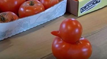 Aneh Tapi Nyata Tomat Ini Mirip Mainan Bebek Karet Secara Alami Lifestyle Fimela Com