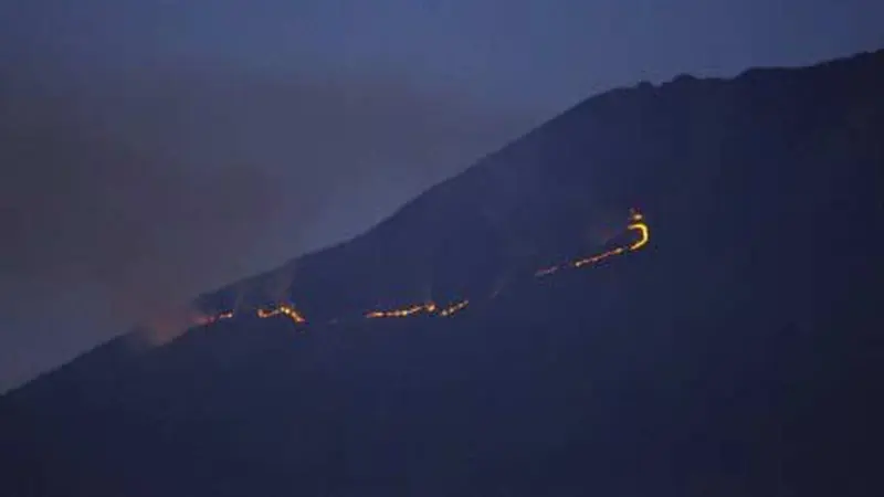 Hutan Gunung Sumbing Kembali Terbakar