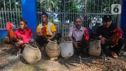 Kontes ini diikuti ratusan ayam pelung yang berasal dari kota-kota di Jawa Barat. (merdeka.com/Arie Basuki)