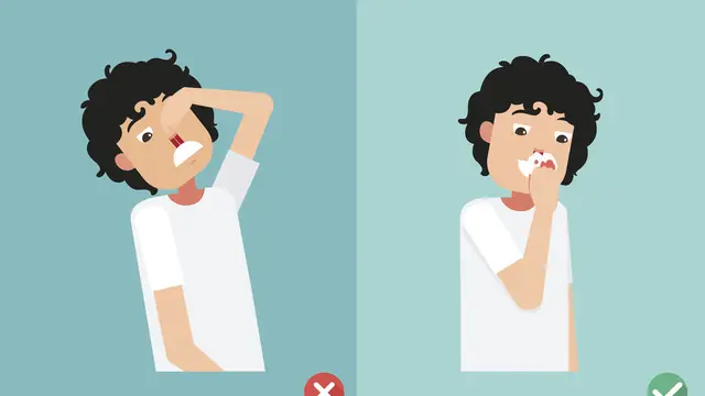 Ilustrasi Mimisan (iStockphoto)